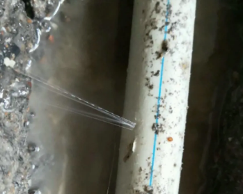 省直辖县级卫生间测漏水多少钱