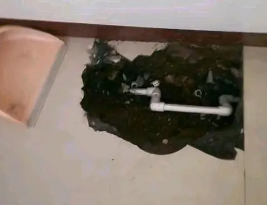 省直辖县级卫生间测漏水多少钱